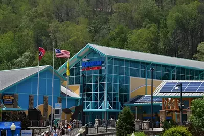 ripley's aquarium
