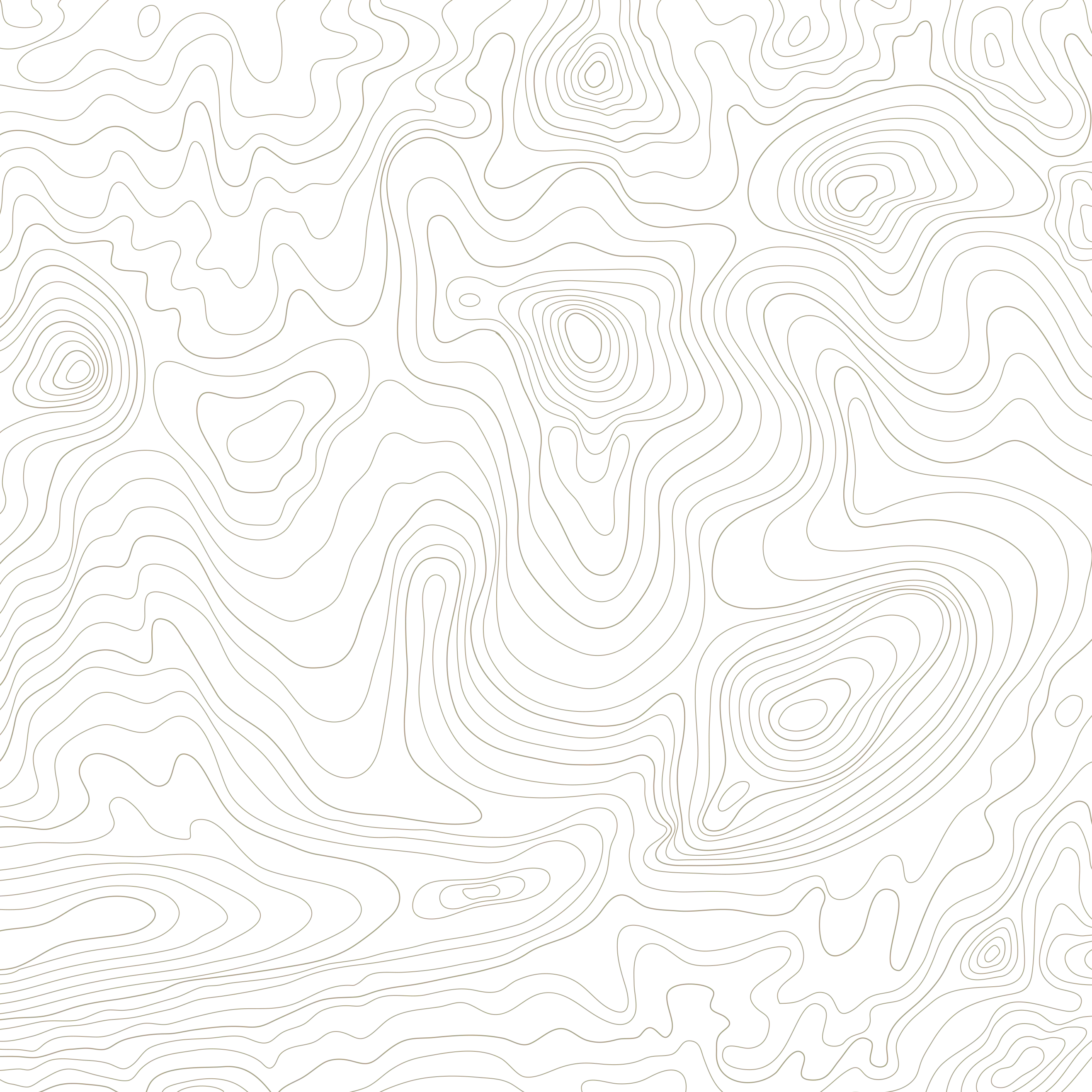 trail texture