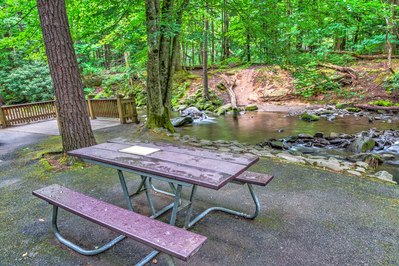 Cades Cove picnic area
