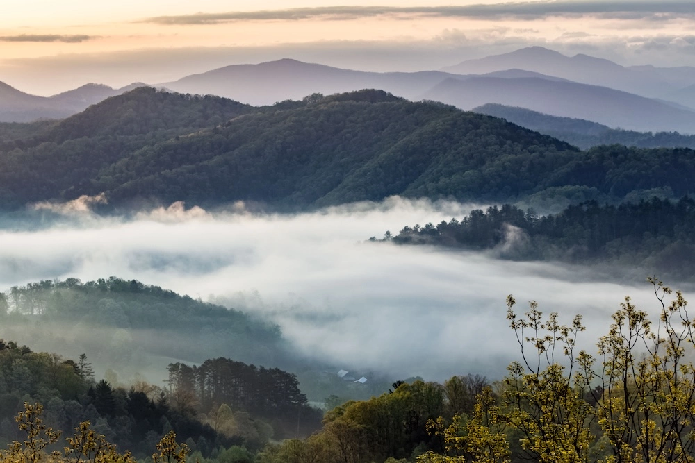 Early-Spring-Smokies-Morning