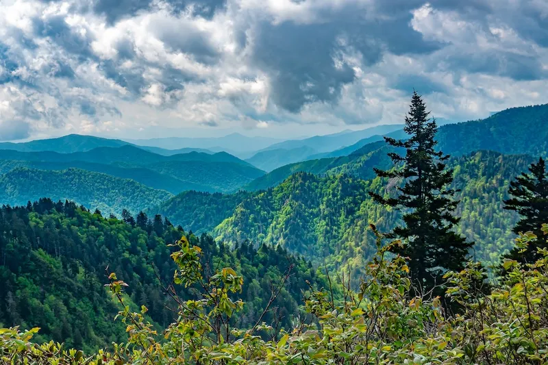 Smoky Mountains view
