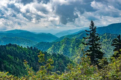 Smoky Mountains view