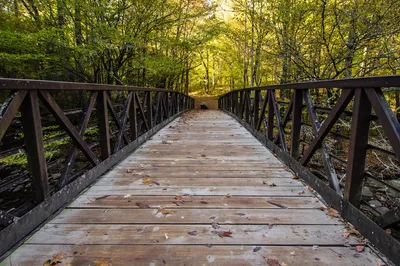 Gatlinburg Trail footbridge