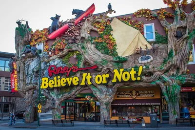 Ripley's Believe it or Not