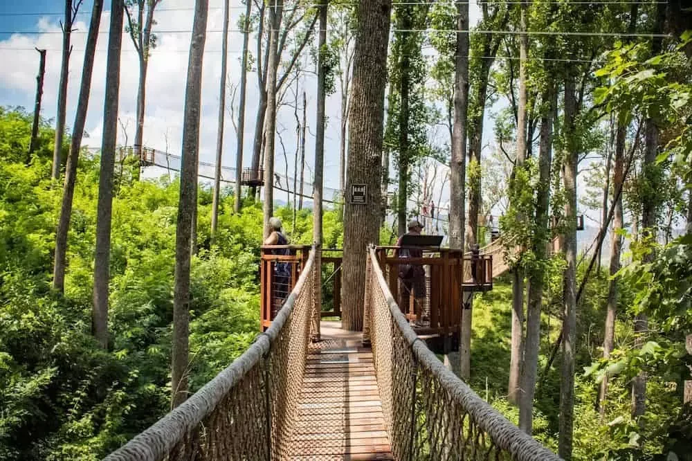 bridge at Anakeesta